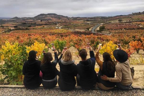La DO Rioja impugna la marca “Rioja Alavesa WIP”