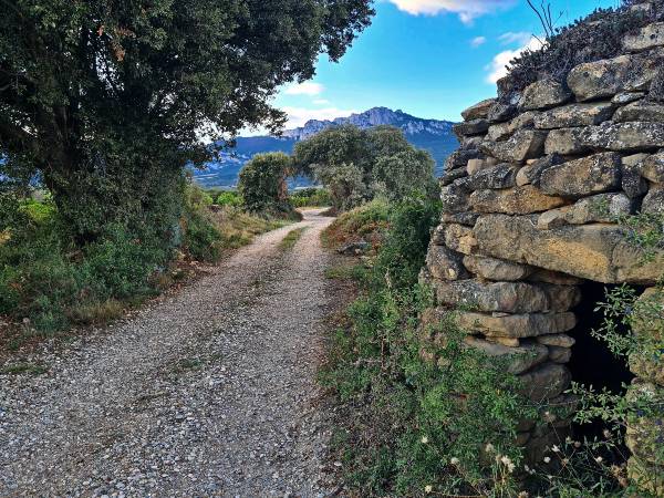 CAMINO-BELLO