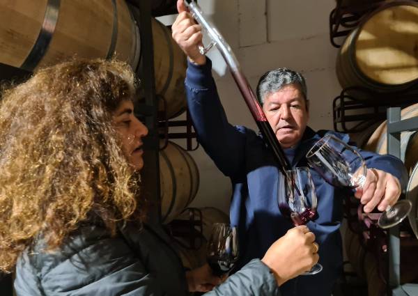 Vierte-Vino