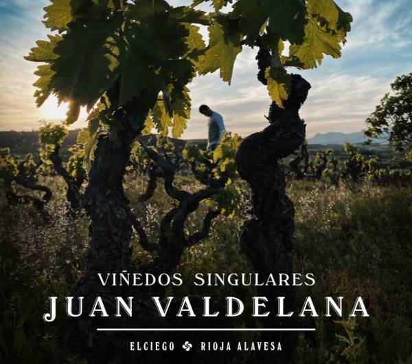 Bodega Boutique para los vinos Singulares de los Valdelana