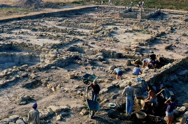 Excav-La Hoya