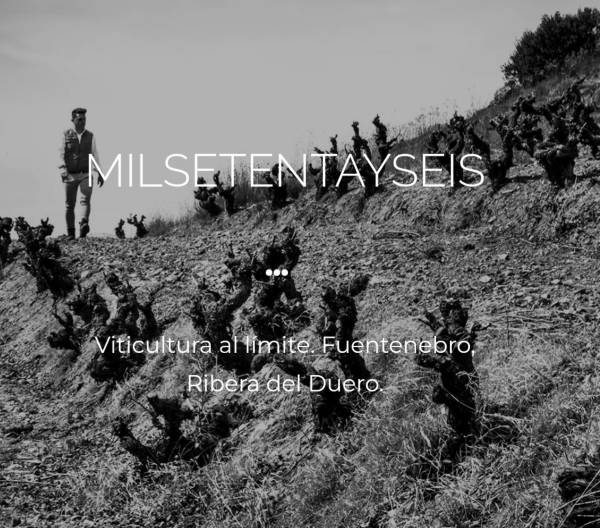 MIL-SETETAY