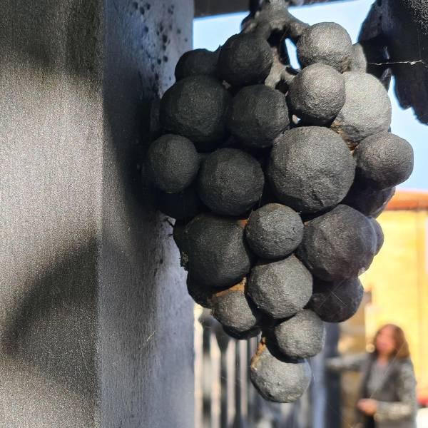 UVAS-HIERRO