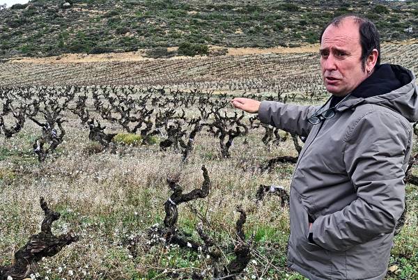 HABLA-VINA-veinte-años-con-siete-hectareas-de-viñedo