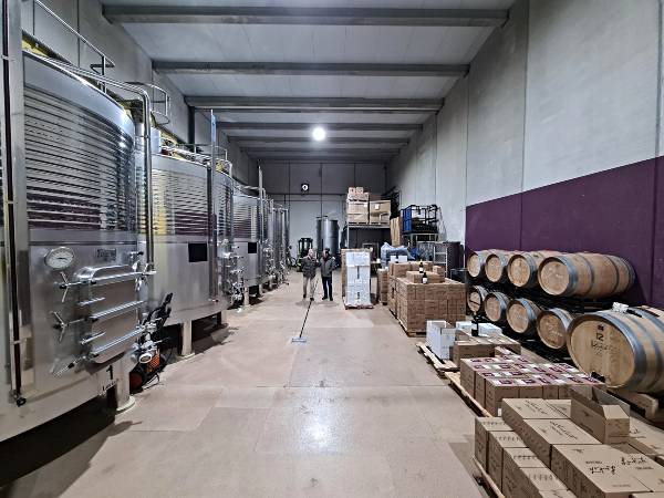 NAVE-Bodeg