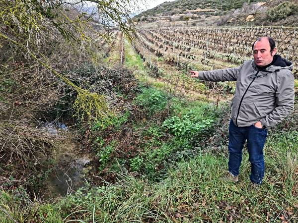 veinte-años-con-siete-hectareas-de-viñedo