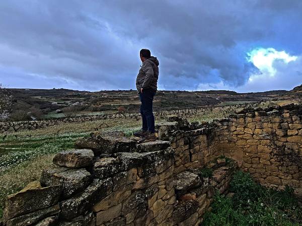 SUBIDO-MURO-veinte-años-con-siete-hectareas-de-viñedo