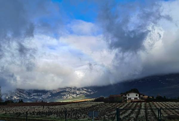 Sierra-Casita-veinte-años-con-siete-hectareas-de-viñedo
