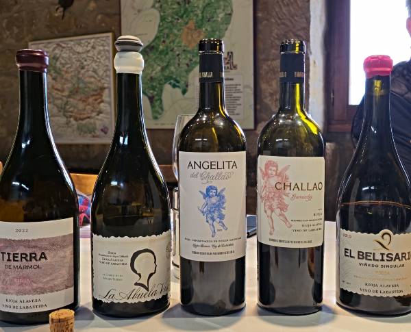 Entrevista-a-Carlos-Fernández-de-Bodegas-Tierra