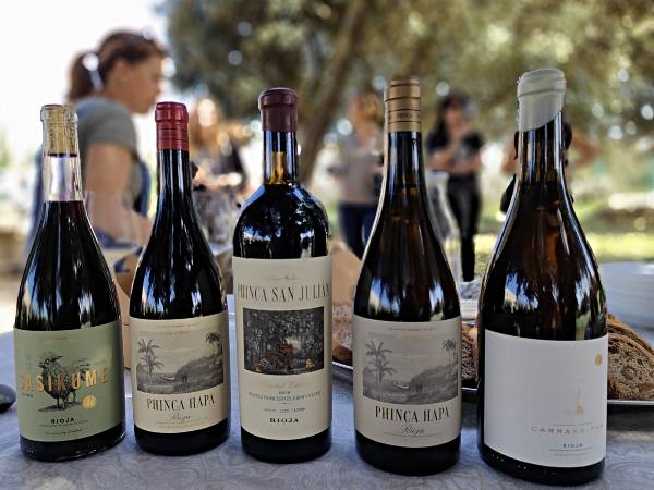 CINCO-VINOS-Etérea-Kripan-ramita-de romero-sobre-la-tierra