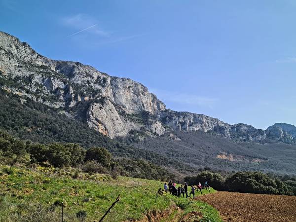 PLANT-SIERRA-DOS