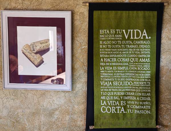 TEXTO-VIDA