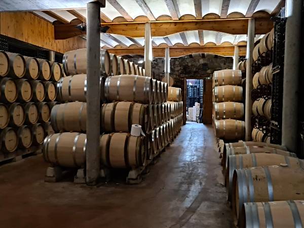 BARRICAS-BODEG