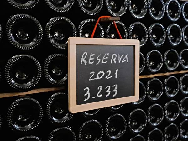 BOTELLERO-BODEG-miguel-merino-100-puntos-atkin-2024