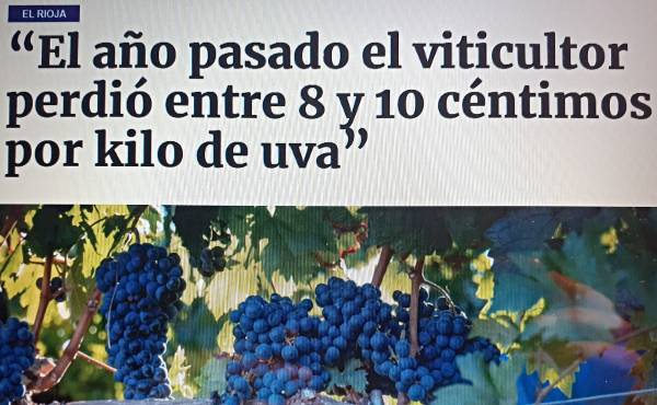 vino de Rioja vino de Rioja