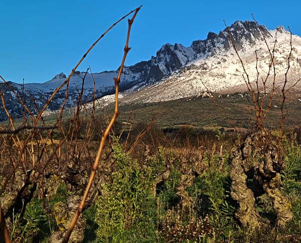 Residence Wines