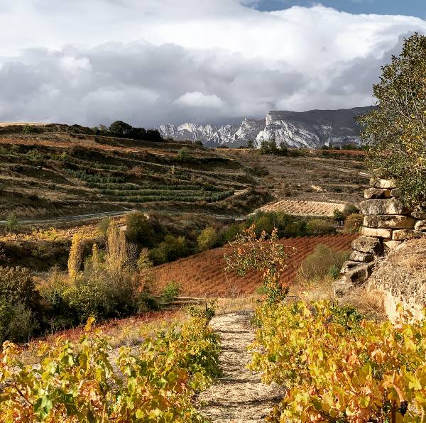 Residence Wines