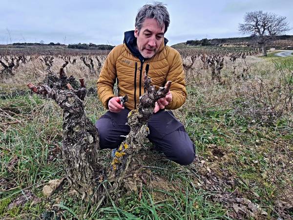 crisis global del vino