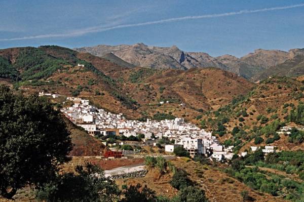 Foto-11