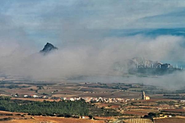 LEON-NIEBLA