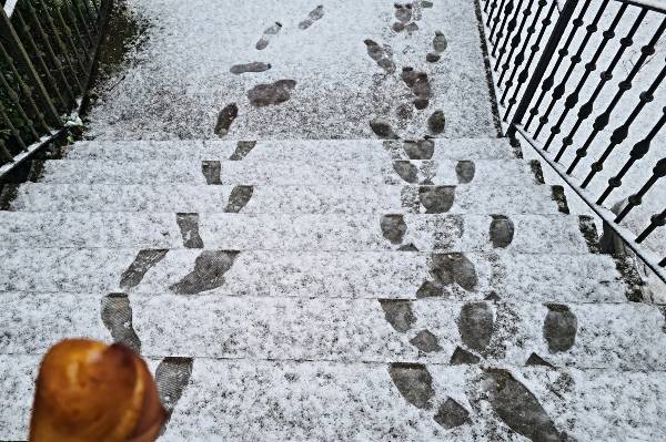 Nieve-Guardia