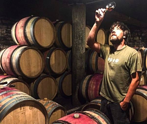 crisis global del vino