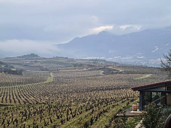 bodega Astobiza de Okondo