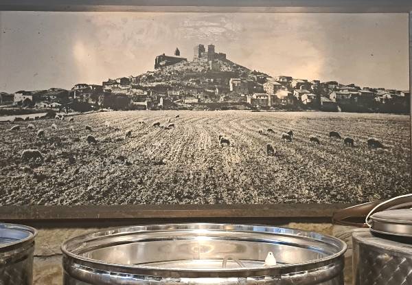 FOTO-D-BODEGA