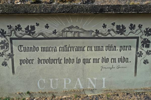 Miguel Eguiluz
