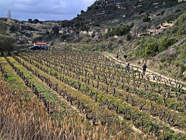 Vina-Especial
