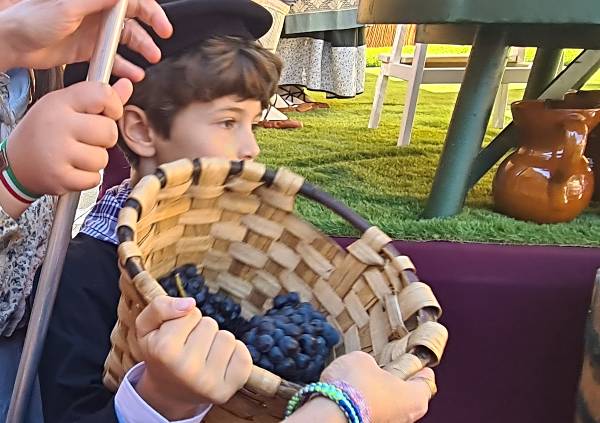 Nino-Uvas