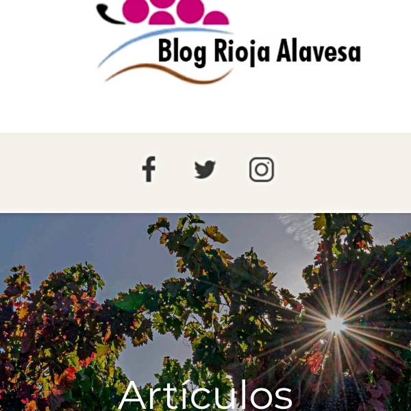 Blog Articulos