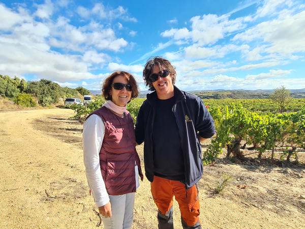 Bodega CVNE