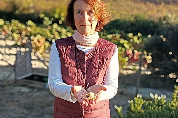 Bodega CVNE