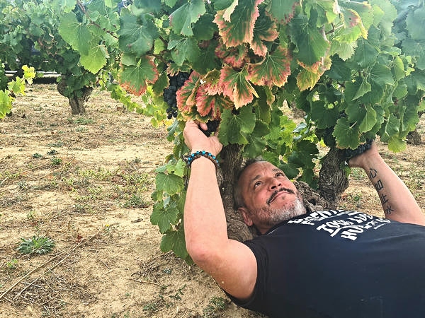 bodeguero Carlos Fernández