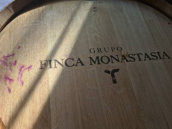 PINTADA-VINO