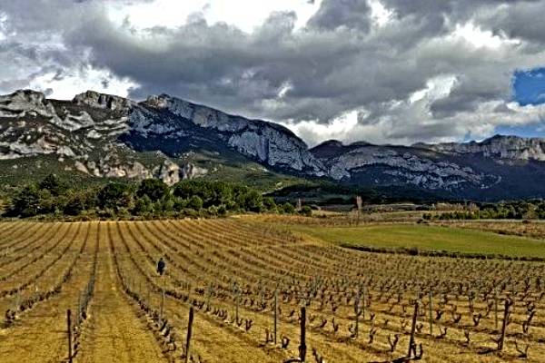En-mitad-Vina