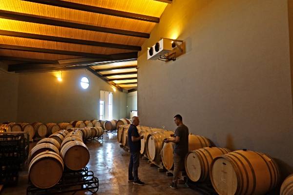 BODEG AUREA