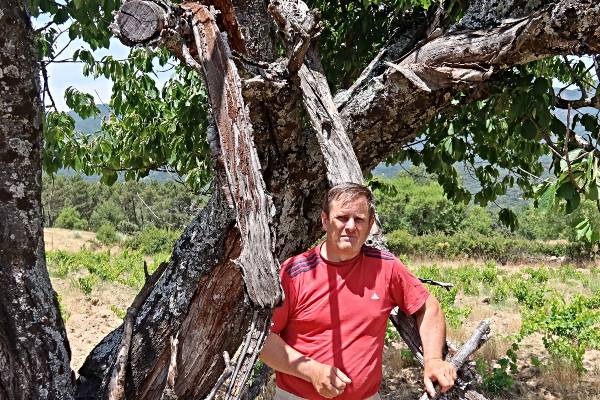 Ricardo Moreno y el vino cooperativo en Gredos