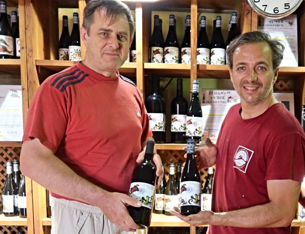 Ricardo Moreno y el vino cooperativo en Gredos