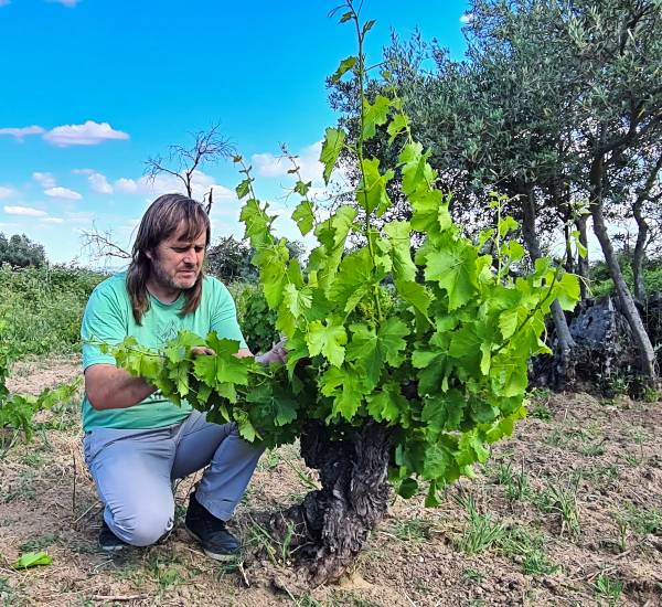 Ricardo Moreno y el vino cooperativo en Gredos