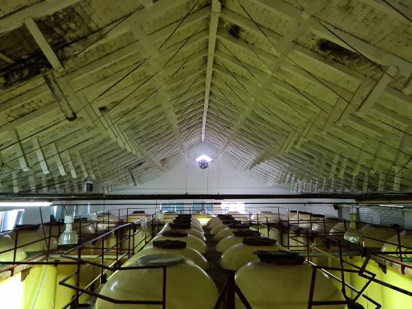Techos-CATEDRAL