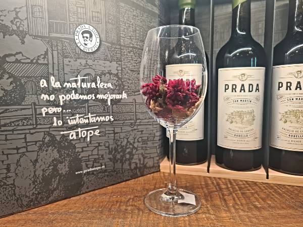Entrevista a José Luis Prada empresario y bodeguero