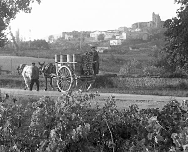 Carreta-ANTIGUA-1
