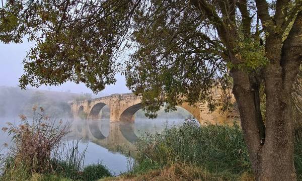 Puente-NIEBLA
