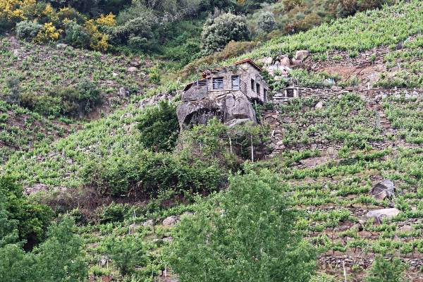 CASA SOBRE PIEDRA