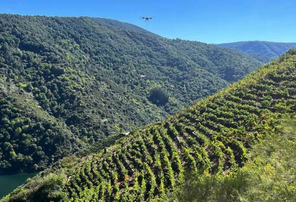 DRON VUELA