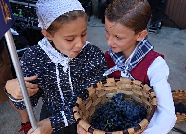 OFRECE UVAS