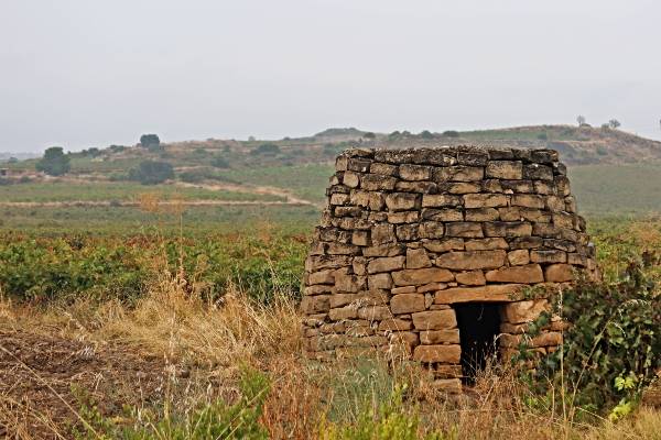 Guarda VINA