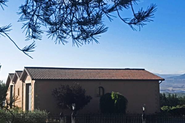 Nueva-Bodega